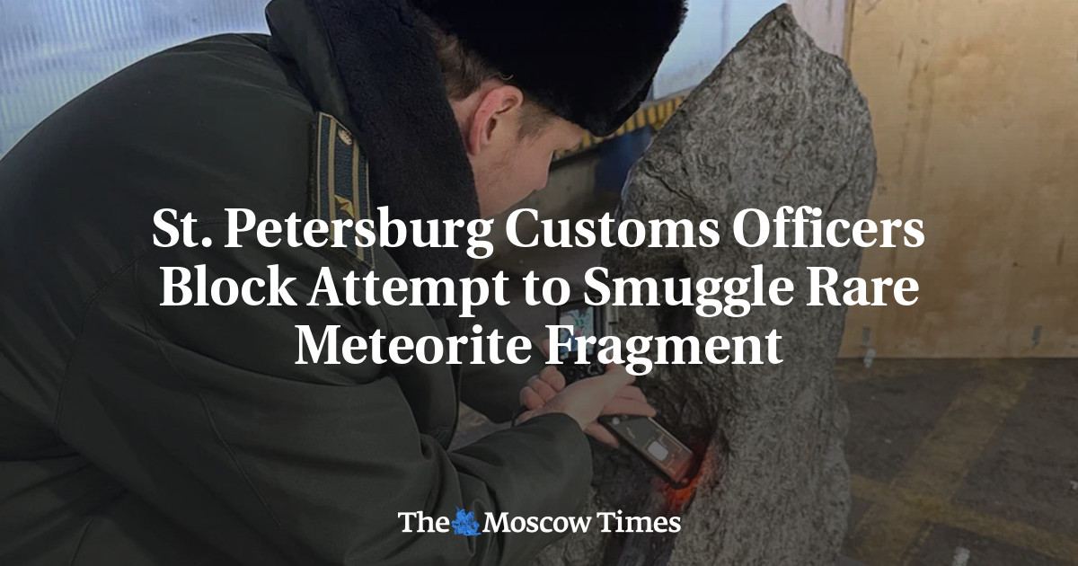 St. Petersburg Customs Officers Block Attempt to Smuggle Rare Meteorite Fragment