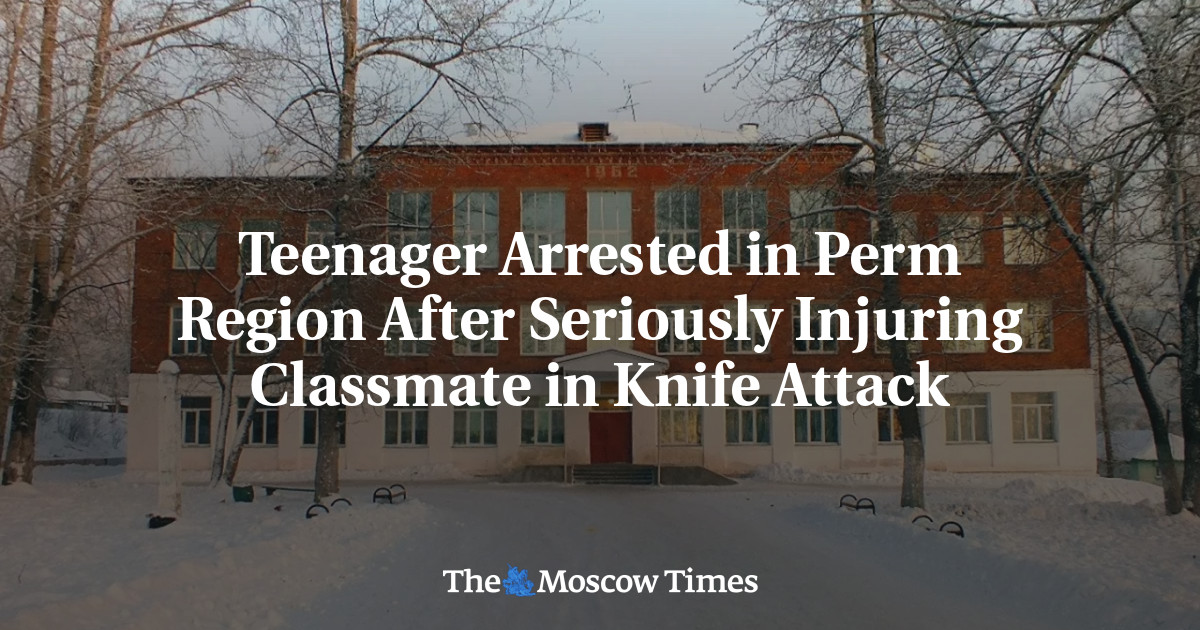 Teenager Arrested in Perm Region After Seriously Injuring Classmate in Knife Attack