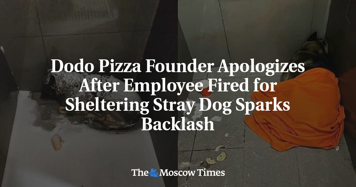 Dodo Pizza Founder Apologizes After Employee Fired for Sheltering Stray Dog Sparks Backlash