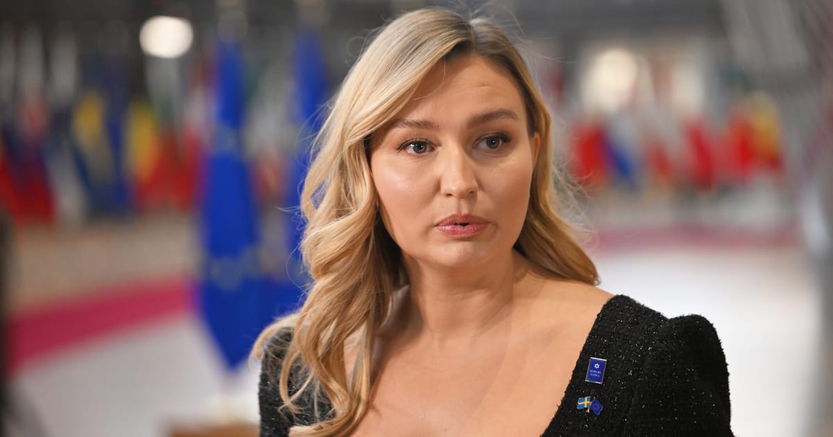 Swedish deputy PM: European leaders must ‘toughen up,’ stop waiting for Brussels, US