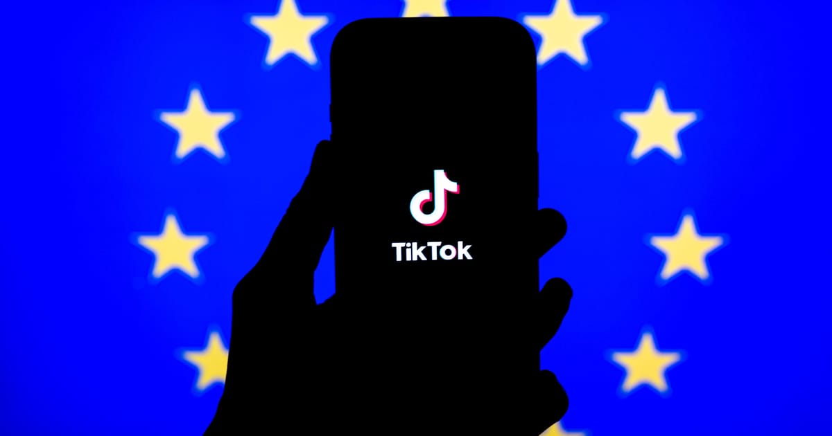EU lawmakers request TikTok probe into alleged censorship over Epstein files – POLITICO