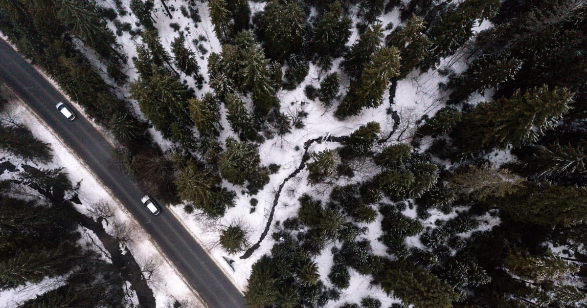 Obsession with growth is destroying nature, 150 countries warn – POLITICO