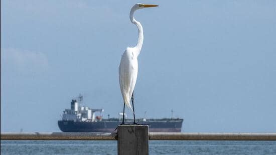 India boosts US crude oil buys as Russia imports dip| Business News