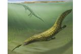 250-Million-Year-Old Triassic Fossils Reveal a Rapid Global Marine Rebound After Mass Extinction