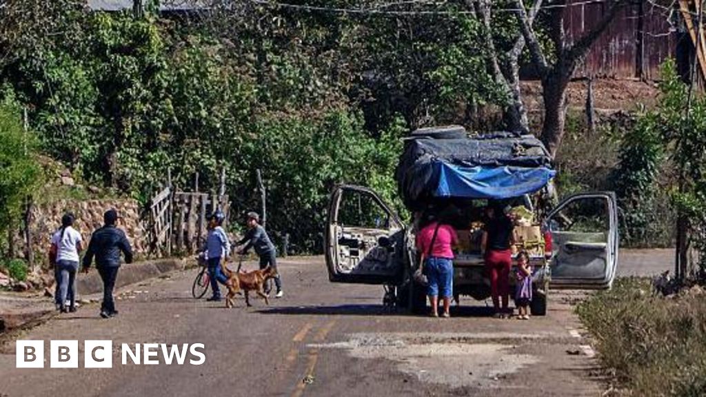 Multiple employees of Canadian mining company found dead in Mexico – BBC