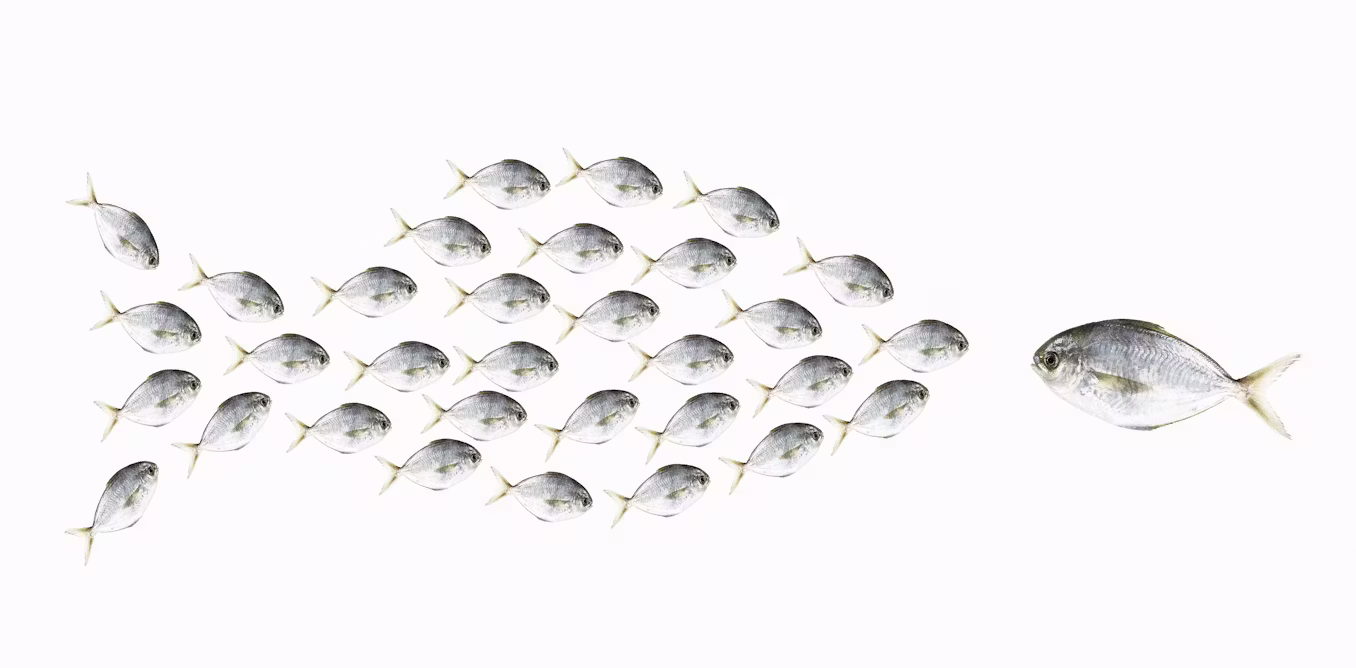 ‘Learning to be humble meant taming my need to stand out from the group’ – a humility scholar explains how he became more grounded