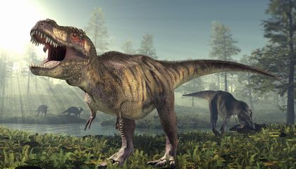 An Asteroid Ended the Age of the Dinosaurs. But How Did Their Reign Begin? Mysterious Early Reptiles May Hold the Answer