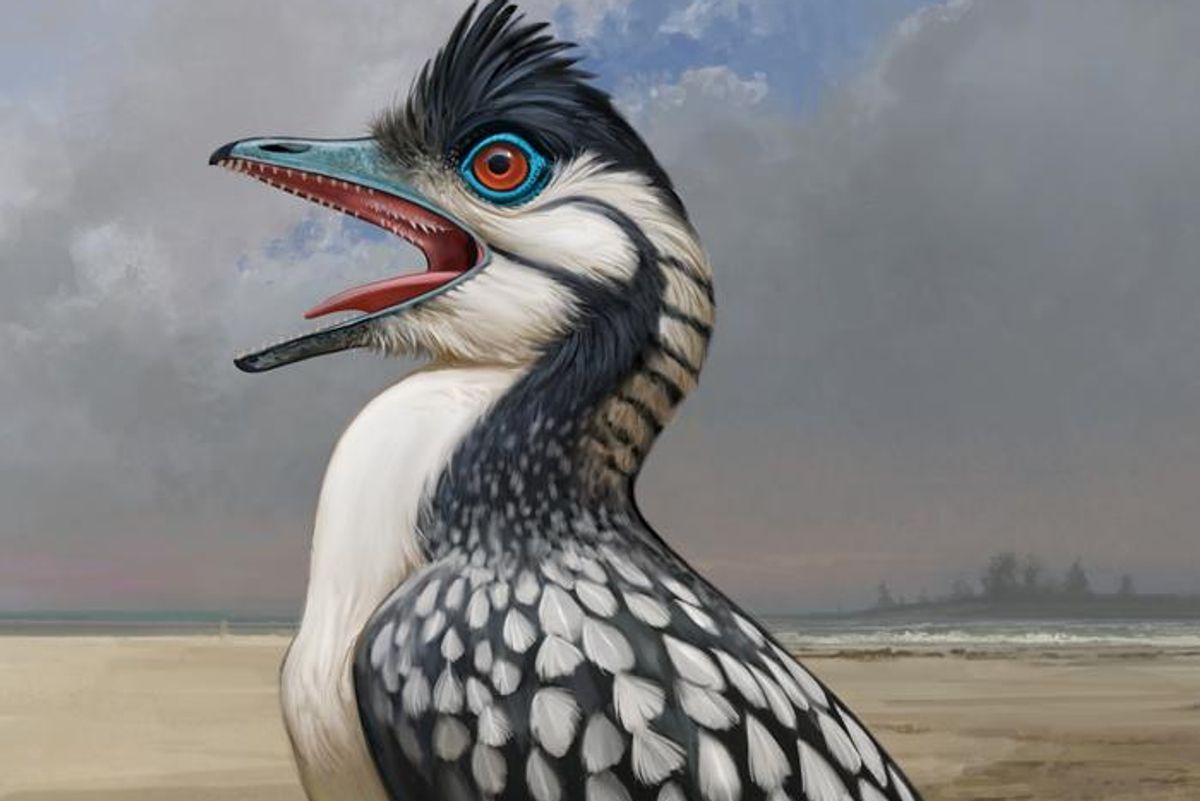 Archaeopteryx — The Earliest Known Bird — Had a Strange Mouth, but Fed Like Modern Birds