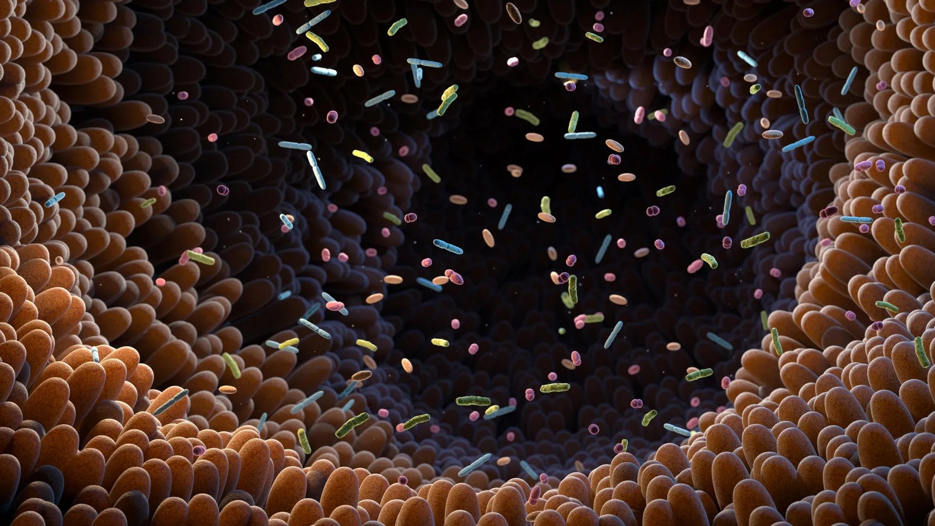 Scientists discover a hidden gut bacterium linked to good health