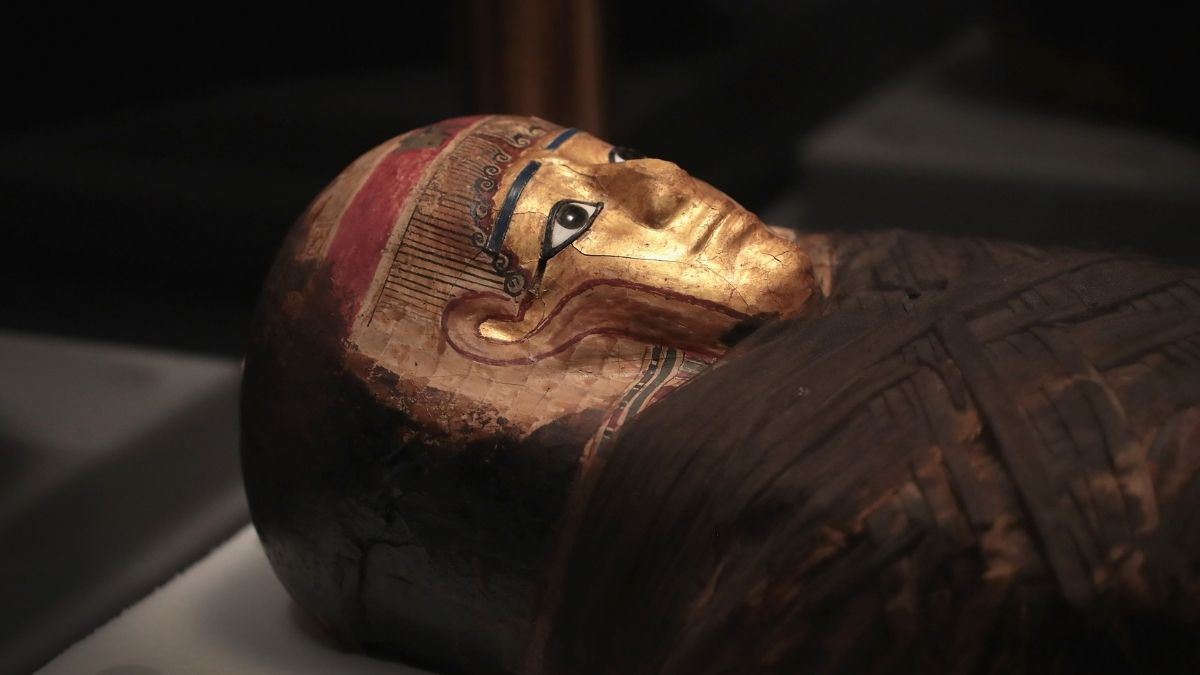 Scientists Are ‘Sniffing’ Ancient Egyptian Mummies. Here’s Why. : ScienceAlert