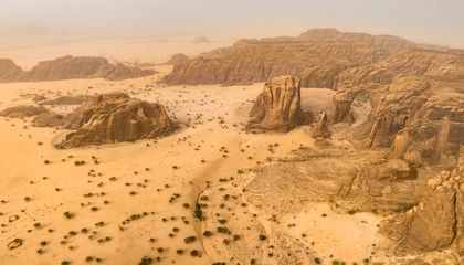 The Sahara Desert Hasn’t Always Been a Dry, Desolate Landscape. Some Scientists See Signs It May Be Greening Again