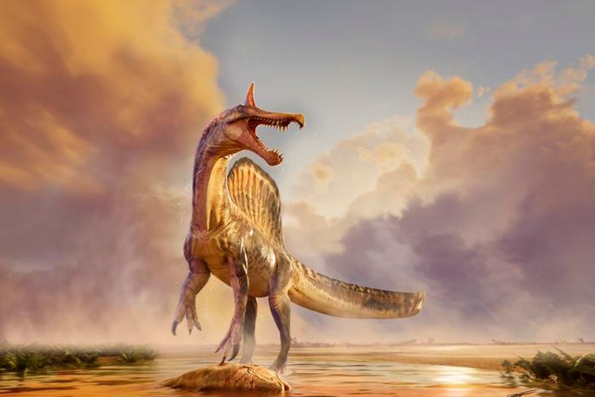 Newly Discovered 95-Million-Year-Old Spinosaurus Was a “Heron-Like Beast”