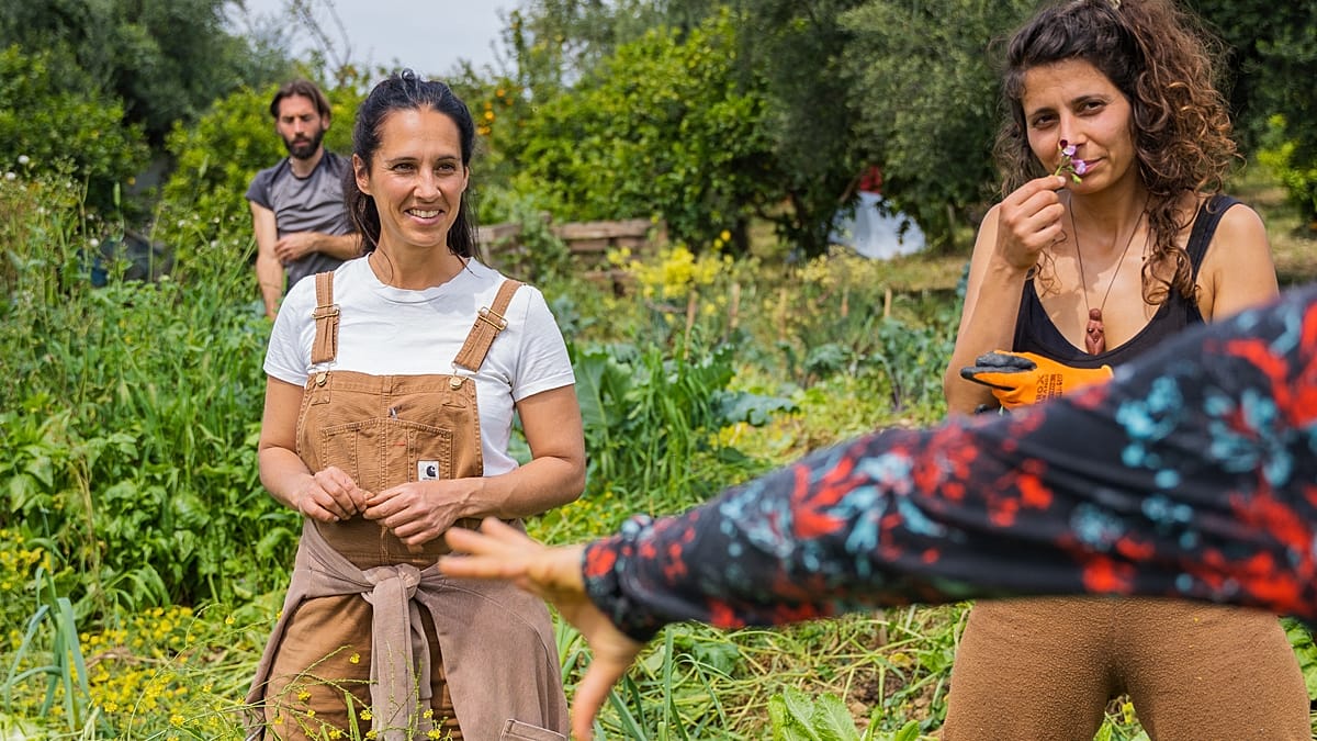 Europe’s farms are reeling from the Iran war. Regenerative farmers saw it coming