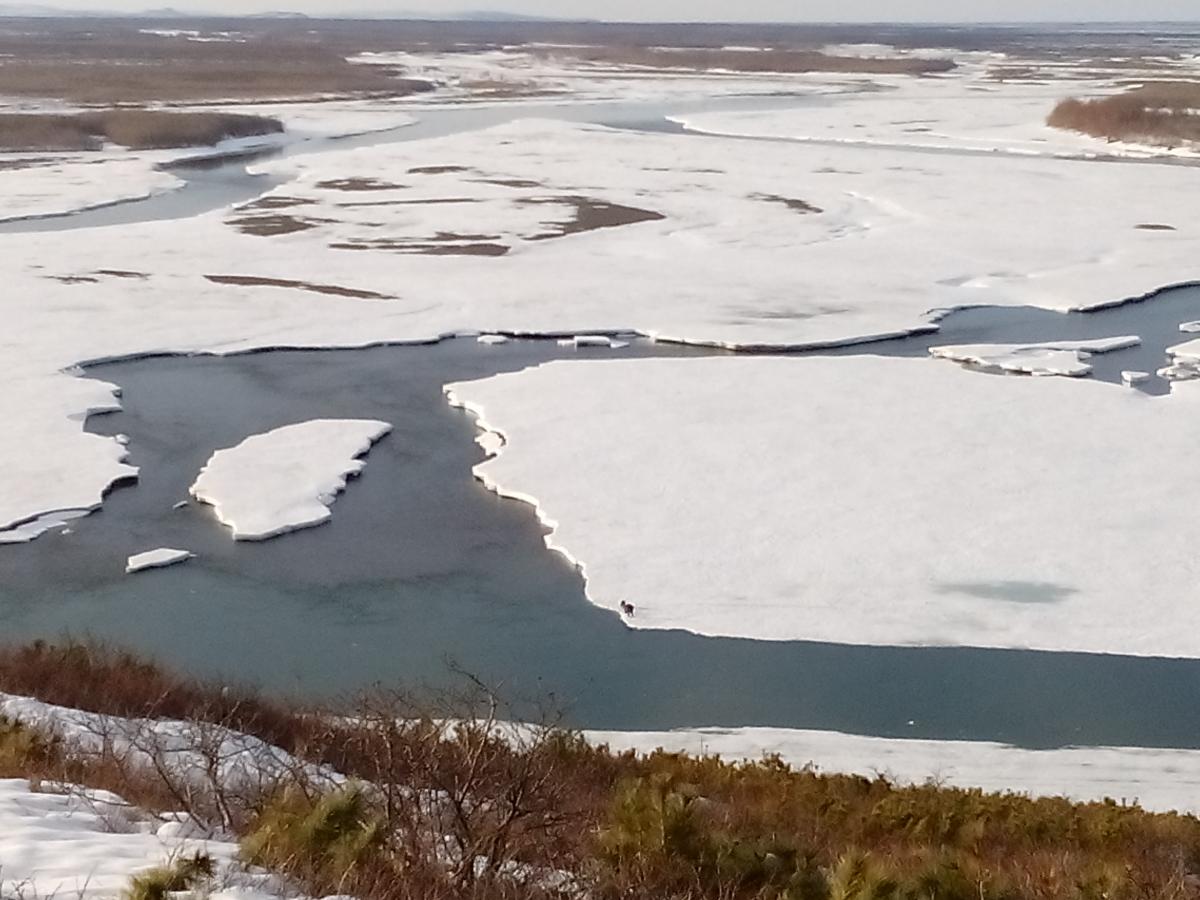 Third Child Found 10 km from Ice Breakthrough Site