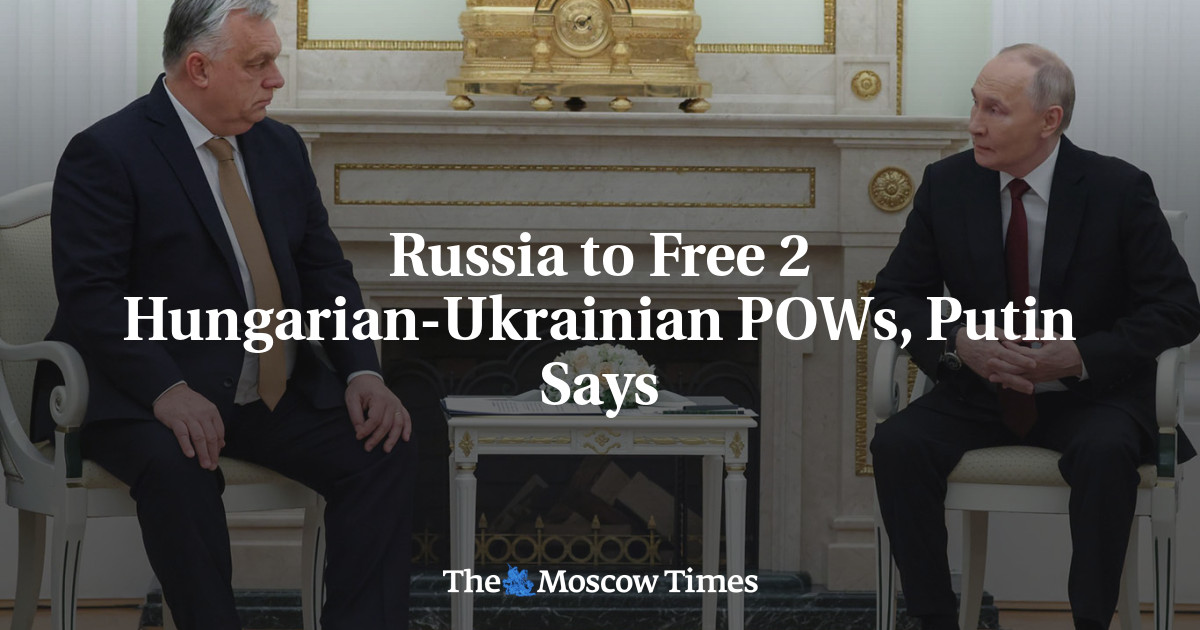 Russia to Free 2 Hungarian-Ukrainian POWs, Putin Says