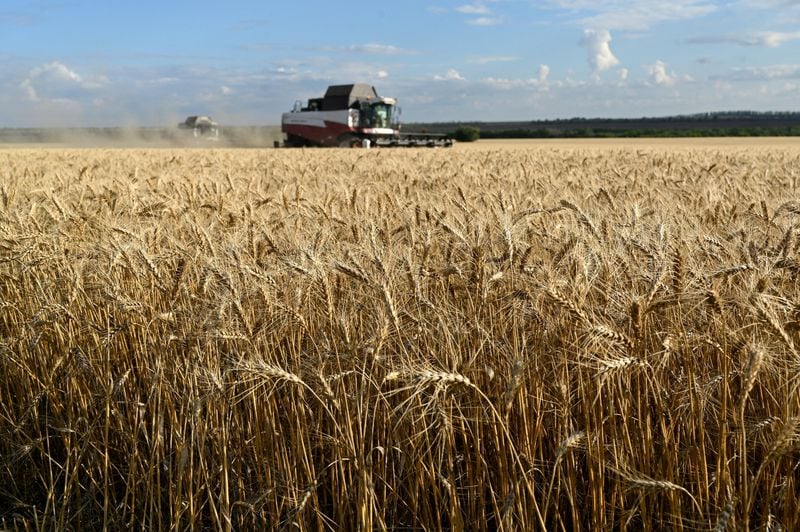 Russia resumes grain exports to Iran via Caspian