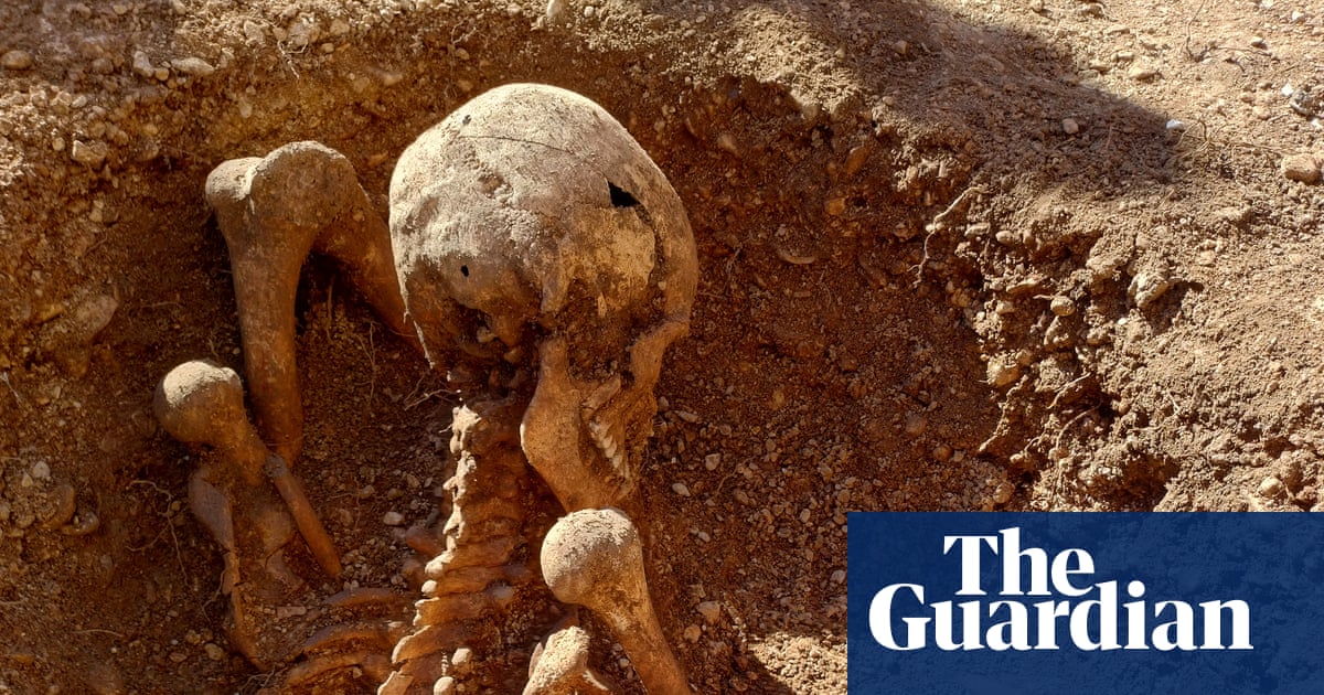 Ancient skeleton unearthed in France is latest to be found sitting upright | France