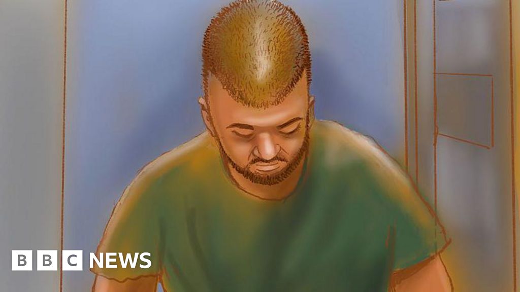 Alleged Bondi gunman loses court bid to suppress names of his family