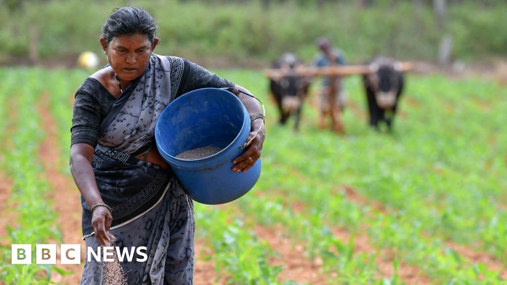 India's fertiliser supplies under strain as war disrupts shipments