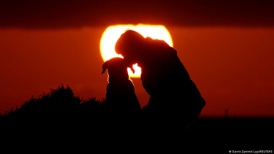 Humans and dogs — scientists find new proof of ancient bond