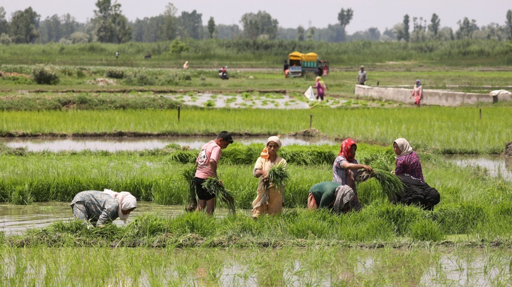 what it means for the global market and Ukraine’s planting season