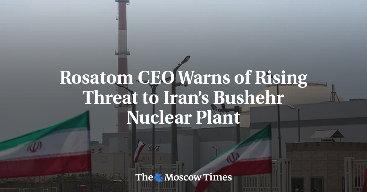 Rosatom CEO Warns of Rising Threat to Iran’s Bushehr Nuclear Plant