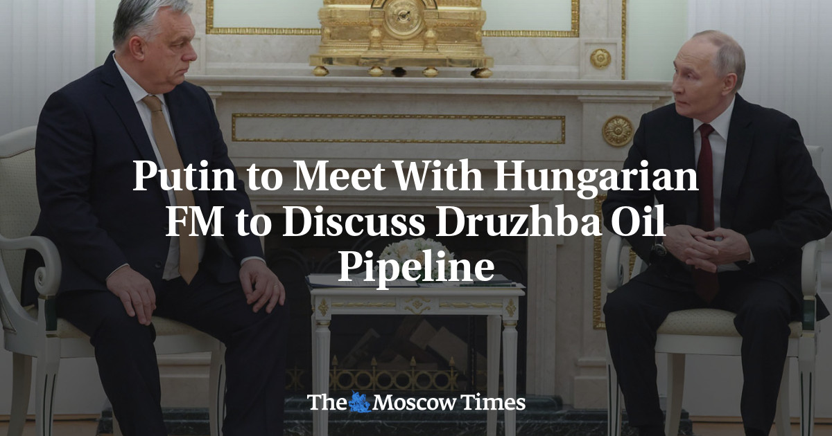 Putin to Meet With Hungarian FM to Discuss Druzhba Oil Pipeline