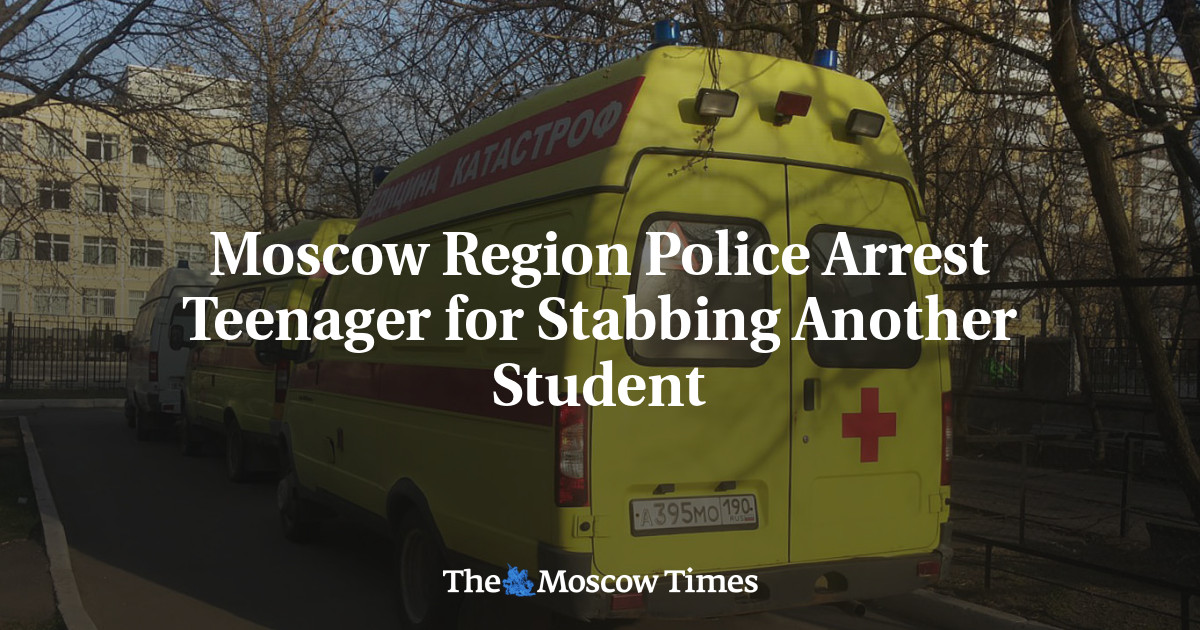 Moscow Region Police Arrest Teenager for Stabbing Another Student
