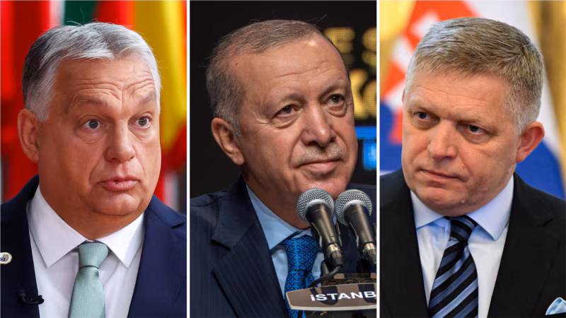 Turkey, Central Asia Look To Slovakia To Get Russian Oligarch Usmanov Off EU Sanctions List