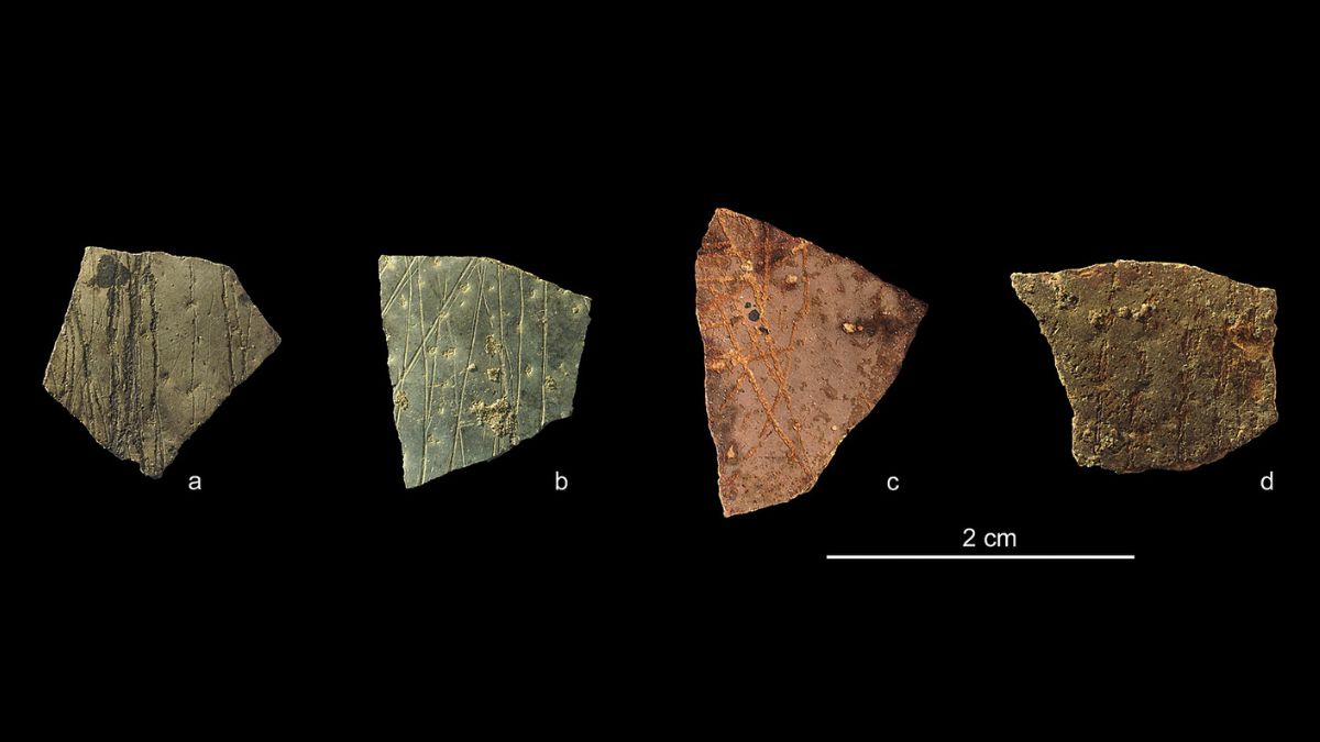 Ancient Fragments Could Be The World’s Oldest Known Geometry : ScienceAlert