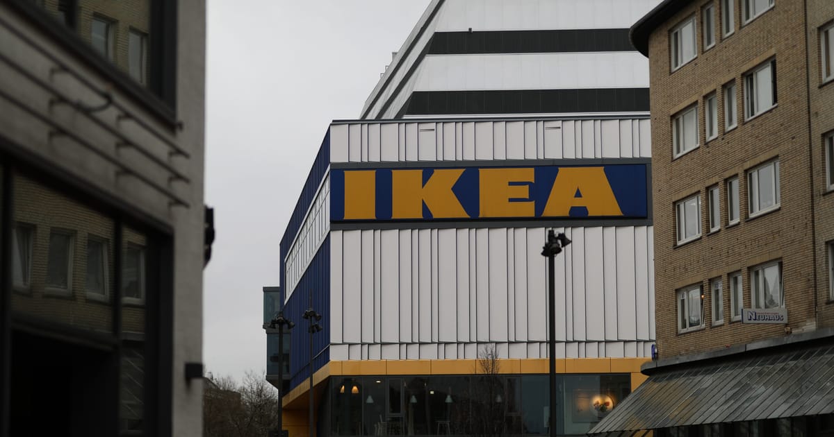 Wolf bites woman in face near Hamburg IKEA during first attack in decades – POLITICO