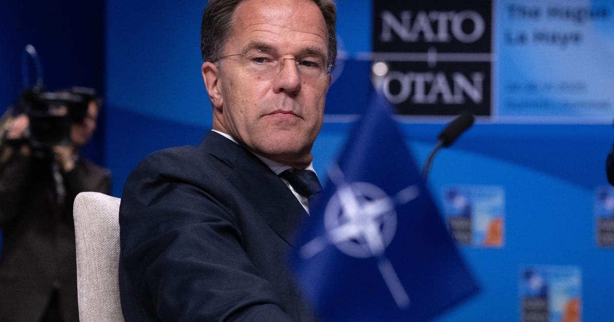 NATO countries hit 2025 spending target – POLITICO