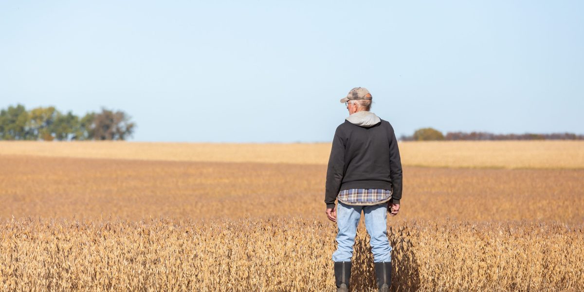 How the Iran war is sending fertilizer prices soaring—and threatening 48 million U.S. jobs