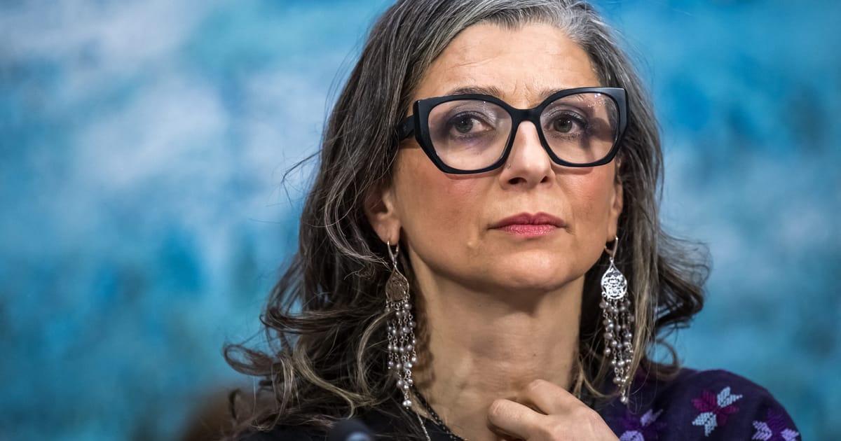 Irish lawmaker urges Stripe to flout US sanctions on UN investigator Albanese – POLITICO