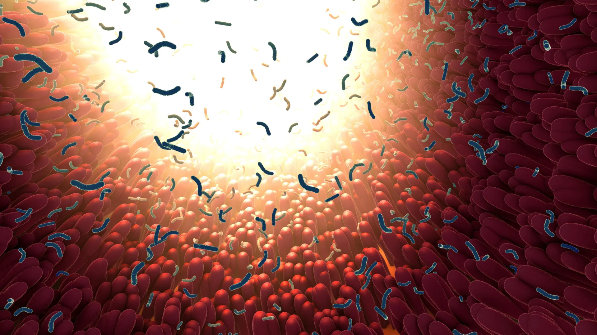 MIT scientists discover gut protein that traps and kills dangerous bacteria