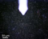 Bennu Sample Reveals Three Distinct Organic&ndash;Mineral Domains Shaped by Ancient Water