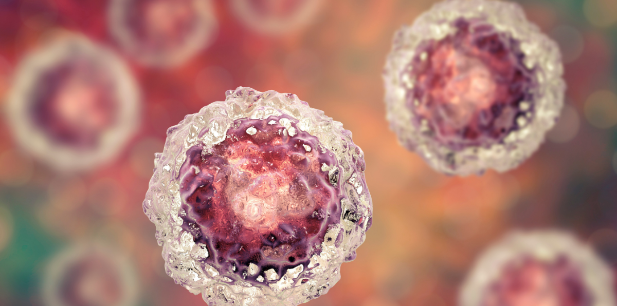 Precision Automation Advancing Cardiac Organoid Development