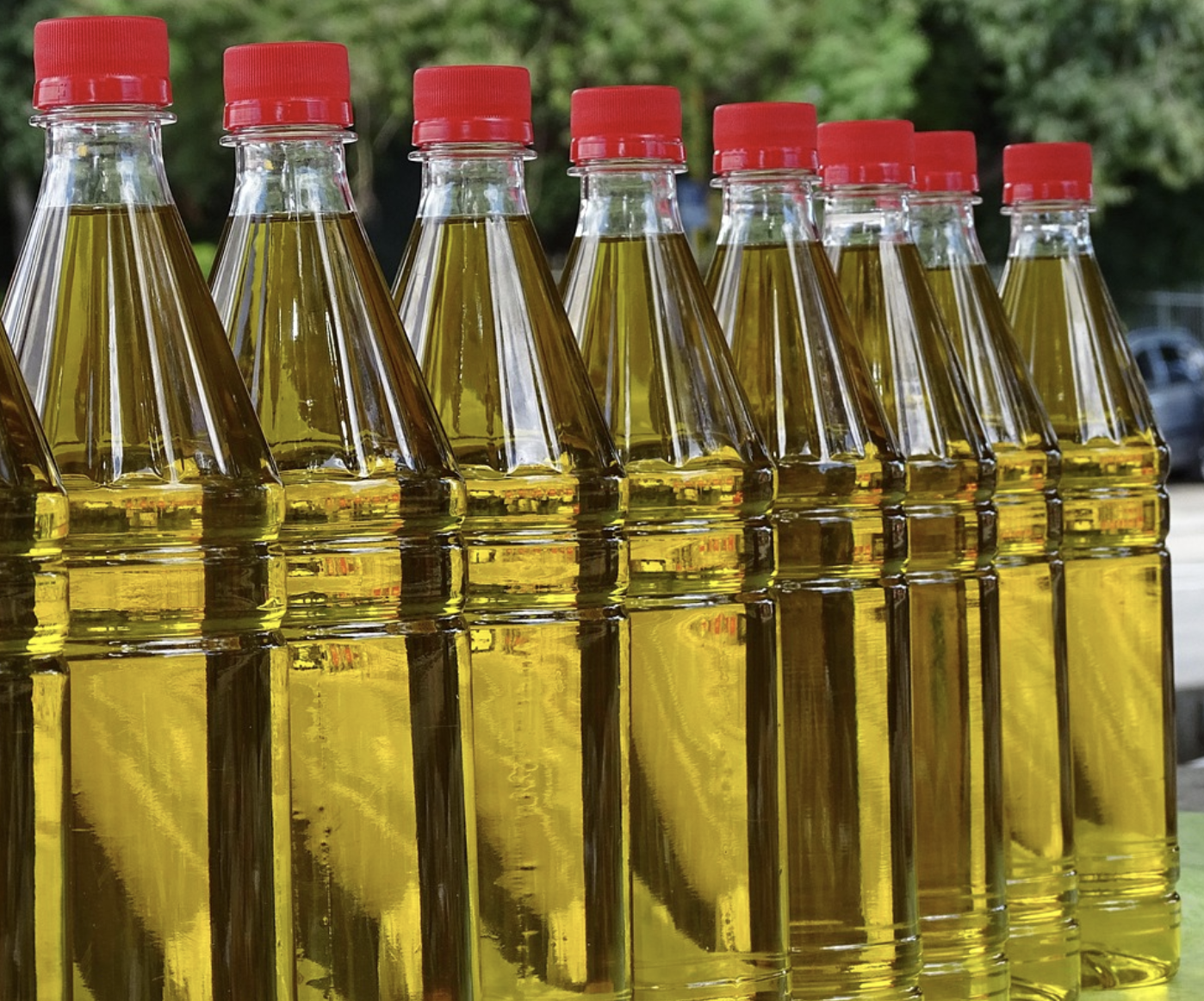 The Ratio of Fats in Diet Has a Significant Effect on Immunity