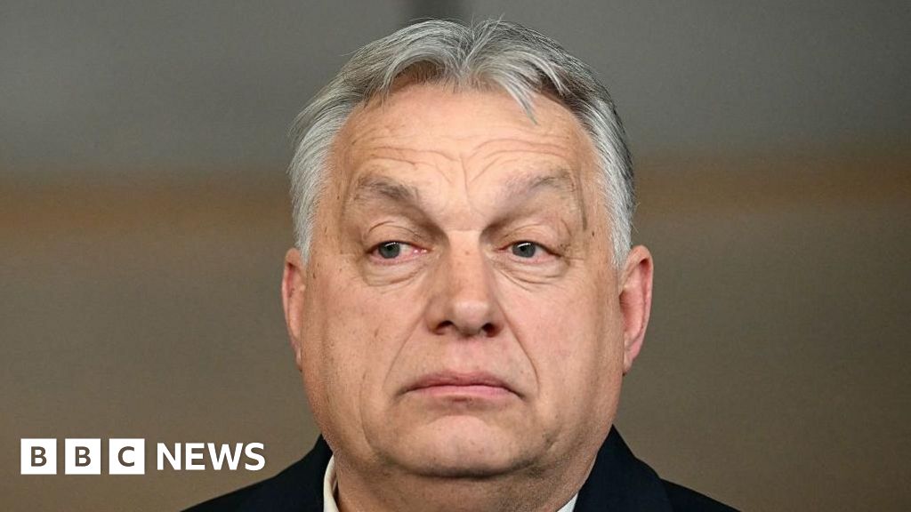 Hungary's Orbán accused of disloyalty and blackmail over Ukraine loan veto – BBC