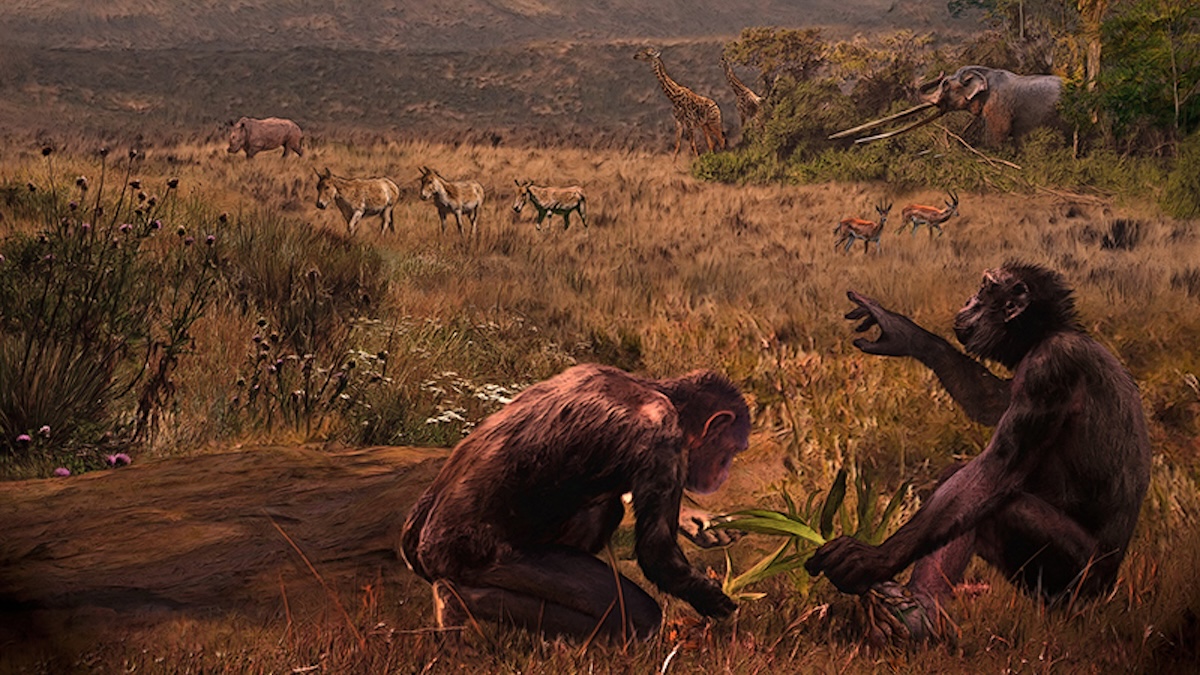 Mysterious Ancient Ape May Have Evolved a Key Human Trait : ScienceAlert