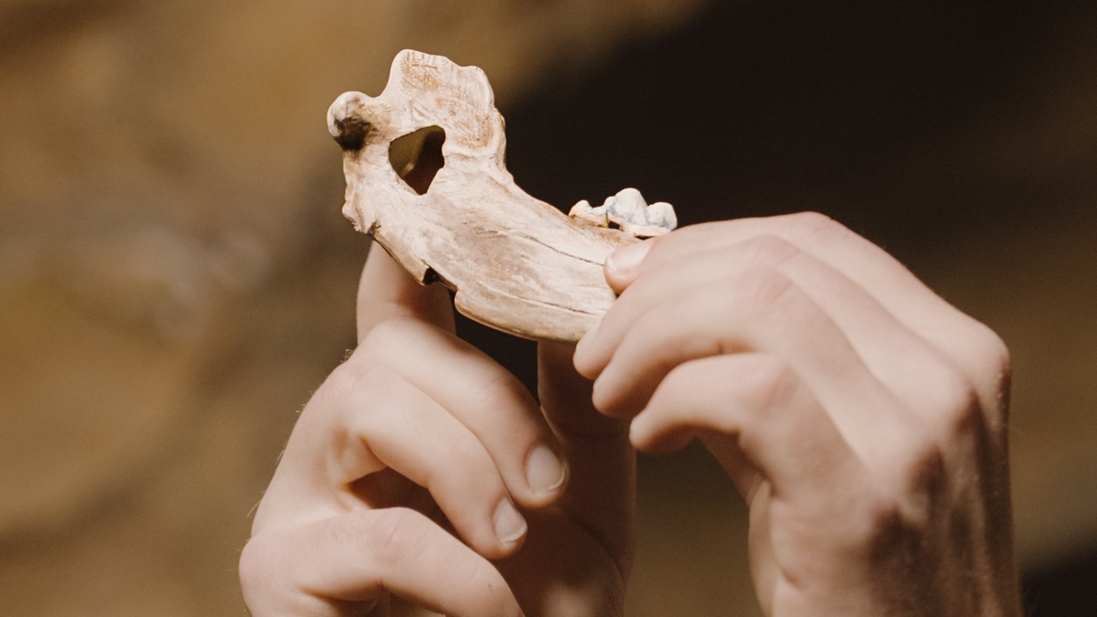 Oldest Dog DNA Ever Found Reveals How Ancient Our Friendship Really Is : ScienceAlert