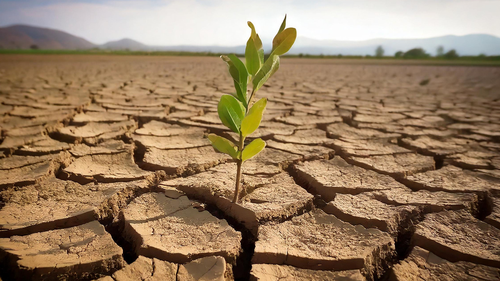 China Is Doing More Than Just Turning Deserts Into Fertile Soil