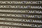Jumping DNA May Trigger Cancer Years Before Diagnosis