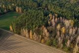 Black Death Rewilding Devastated Plant Diversity Across Europe as Forests Spread on Abandoned Farms