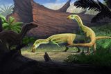 A 25-Inch Crocodile Relative Walked on Two Legs in Late Triassic Forests 225 Million Years Ago