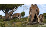 Neanderthals Hunted Straight-Tusked Elephants as They Traveled Across Europe 125,000 Years Ago