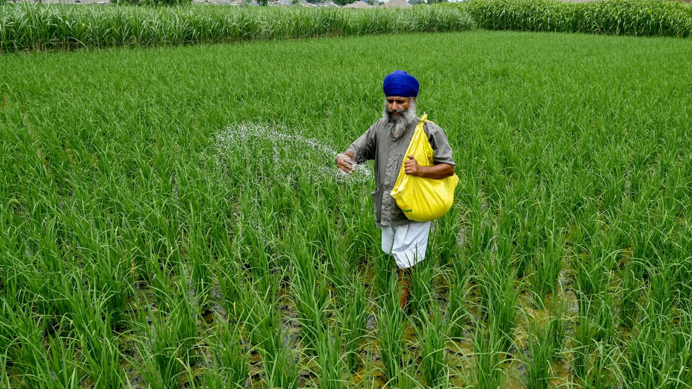 How the Iran war threatens global food supply : NPR