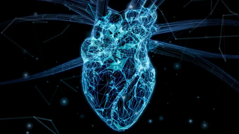 Digital heart replicas can guide a lifesaving procedure