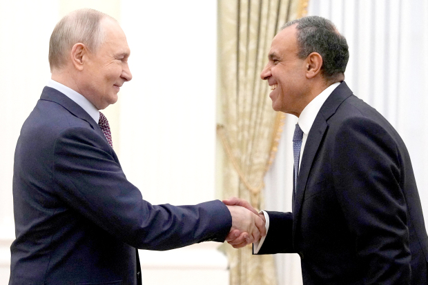 Russia considers establishing grain and energy hub in Egypt