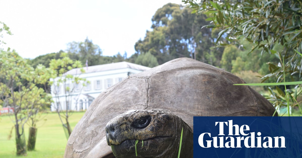 World’s oldest tortoise caught in viral crypto death scam | St Helena